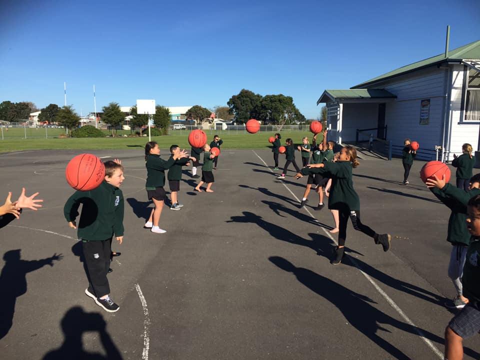 Sports Te Awa School